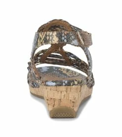 Top 10 🎁 Baretraps Areana Wedge 🩴 Sandal (BT28921) Saffron Multi Snake 👍 -Cheap Sandals Store 71b7f25c3f3b5494da3584a23626f7c8ad314dcc 36273.1671787081