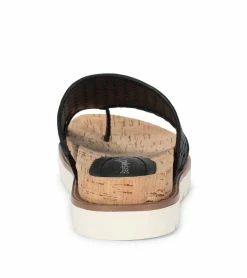 Buy ❤️ Baretraps Dallyce Slide 🩴 Sandal (BT28845) Black ✨ -Cheap Sandals Store baretraps dallyce slide sandal bt28845 20160.1671652175