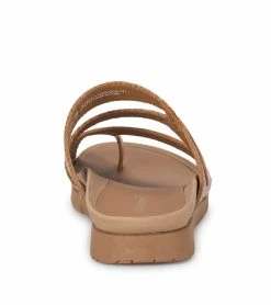 Best deal 🎁 Baretraps Hoorah Casual Slide 🩴 Sandal (BT28702) English Brown 🎉 -Cheap Sandals Store baretraps hoorah casual slide sandal bt28702 70392.1667332977
